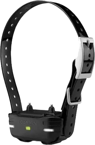 Ремонт GPS-ошейников Garmin Sport Pro в сервисном центре FIX-Garmin